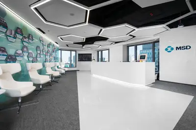 Acoustic false ceiling with integrated light fittings provides another option for combining lighting with acoustic panels.